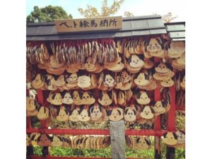 伊豆神祇大社