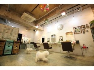 関内の美容室BOBの店内
