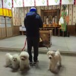 関内の美容室BOBの看板犬