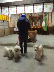 関内の美容室BOBの看板犬