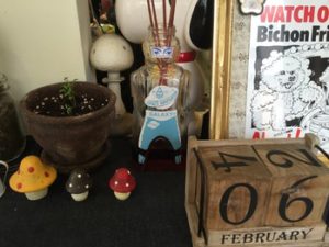 関内の美容室BOBの店内の植物