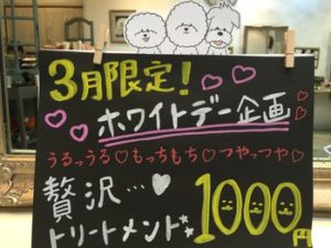 関内の美容室BOBのオススメメニュー