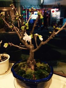 関内の美容室BOBの装飾