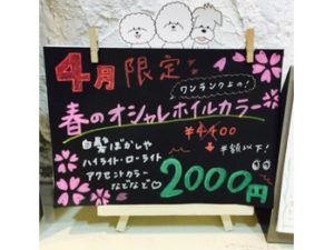 関内の美容室BOBのオススメメニュー