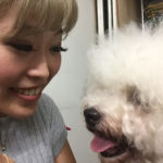 関内の美容室BOBのスタッフと犬