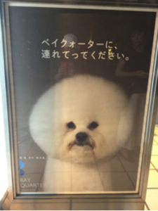 広告