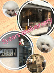 関内の美容室BOBの五周年