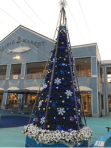 クリスマスツリー