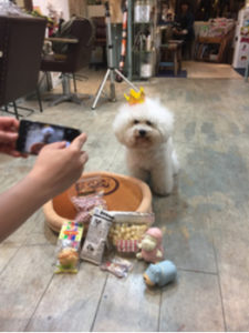 関内の美容室BOBのお客様