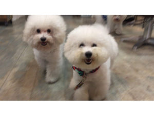 関内の美容室BOBのお客様