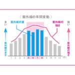 紫外線の対策はお早目に！