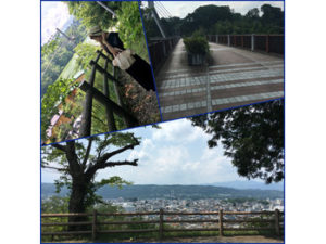 秩父へ
