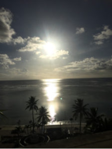 海