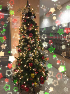 クリスマスツリー