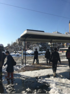 雪景色