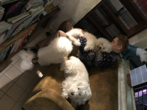 関内の美容室BOBの看板犬とスタッフ